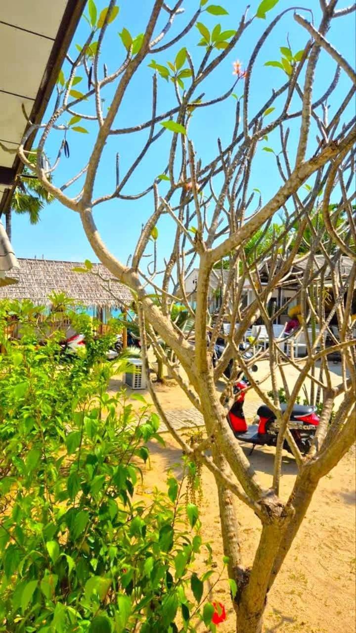 Bord De Coconut Sejour Familial Koh Samui * Lamai Beach (Koh Samui)